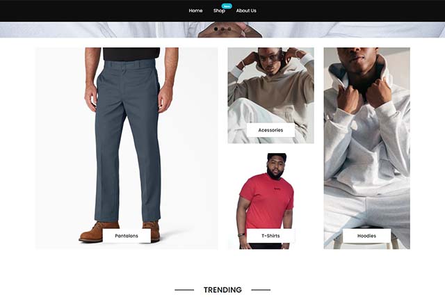 projects image